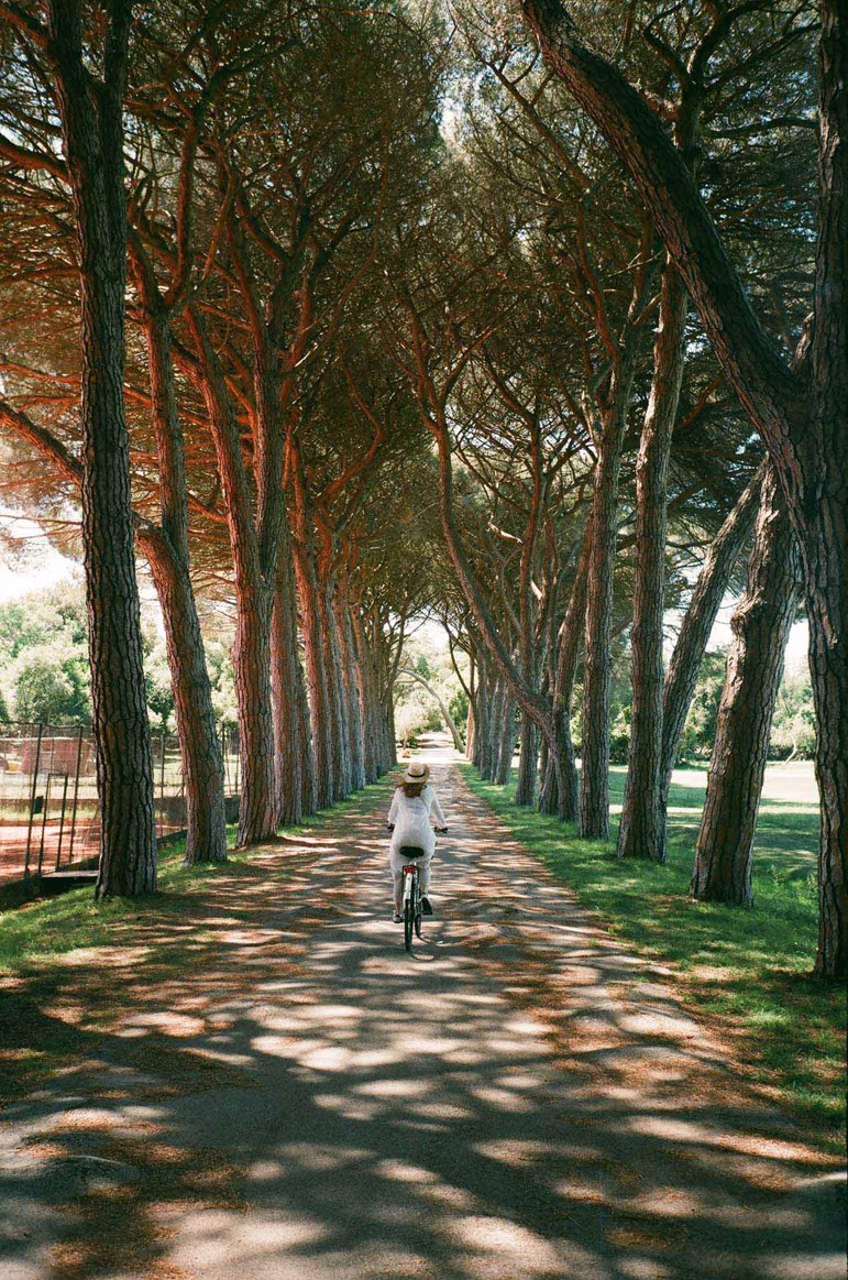 Cycle through Brijuni