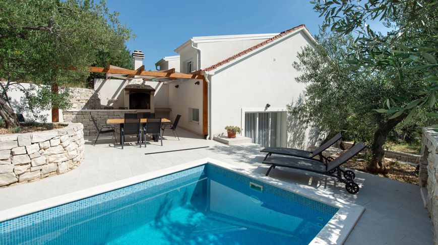 Olivetree 29
