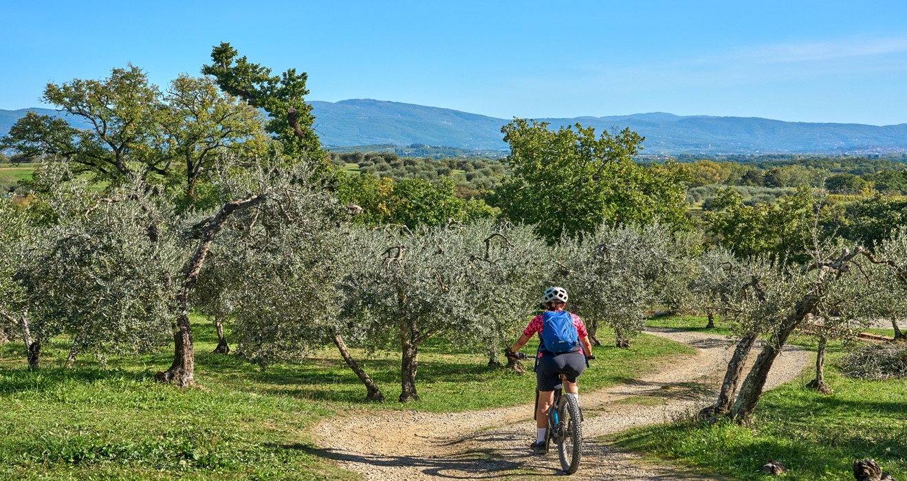Osvajanje Istre: Ultimativni MTB Izazov na Istria MTB Stage Race 2023 article image