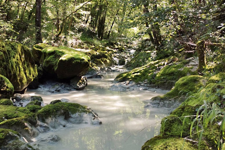 Hike on a trail alongside emerald creeks